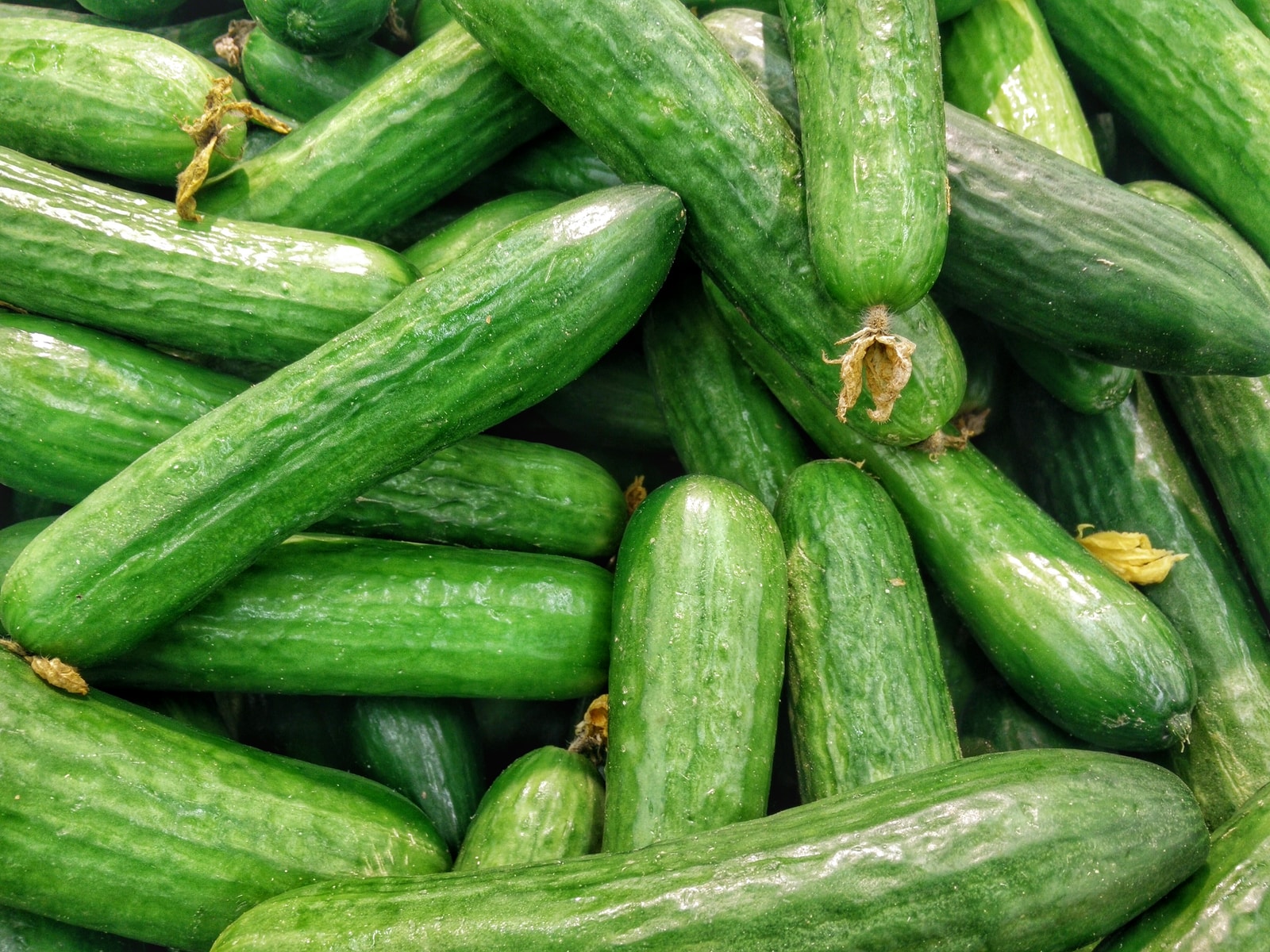 cucumber grater