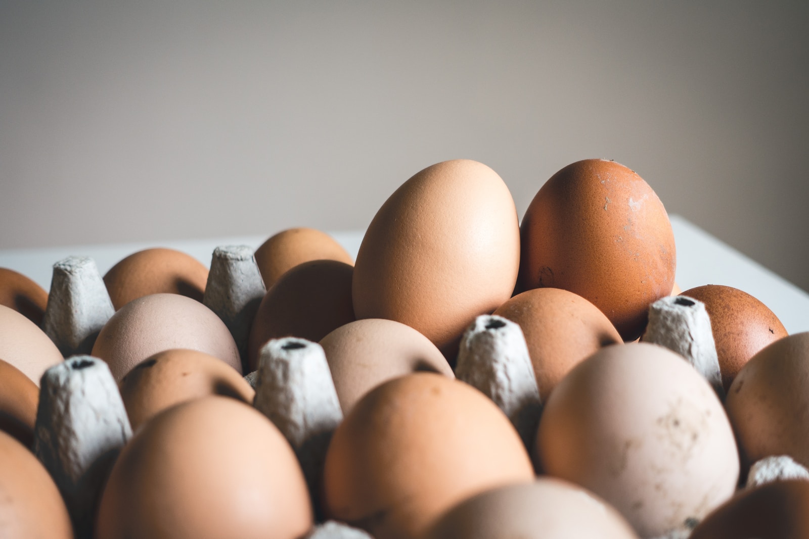 stainless steel egg slicer